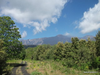 anobello-26-05-2013 09-52-54